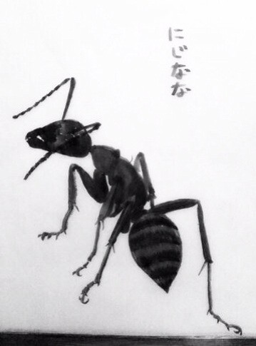 クロヤマアリ兵隊