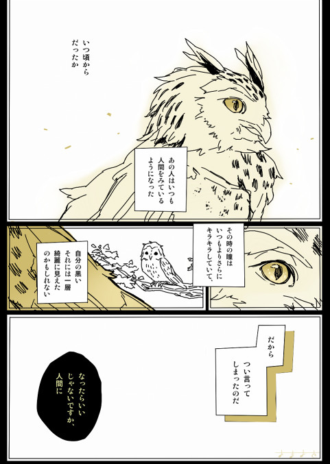 兎赤が本当のフクロウだった場合