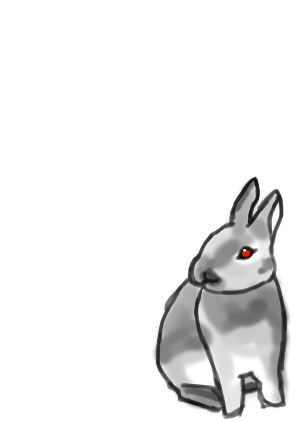 うさぎ