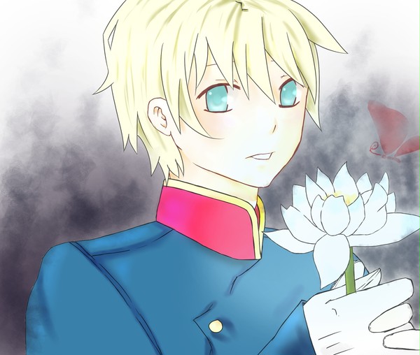 睡蓮