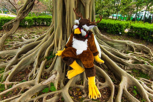 自然に戻ってMoonkin！