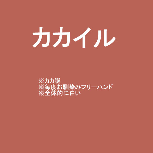 【腐】カカイル