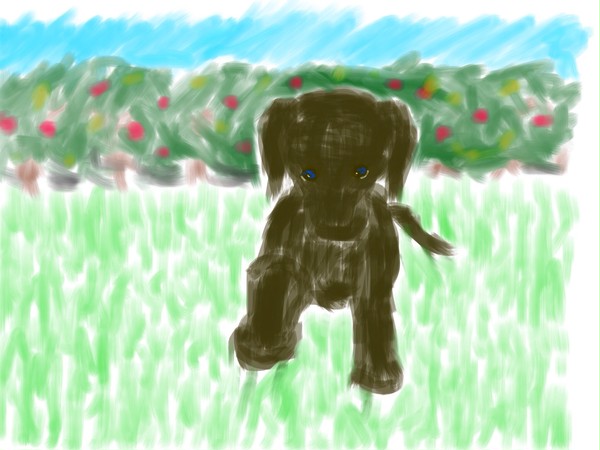 ipadでお絵かき