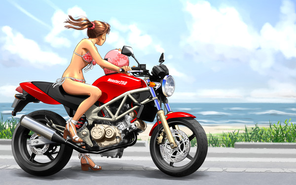 HONDA VTR250