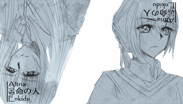 saber×Enkidu