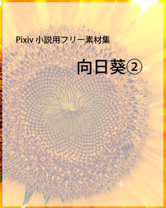 向日葵②