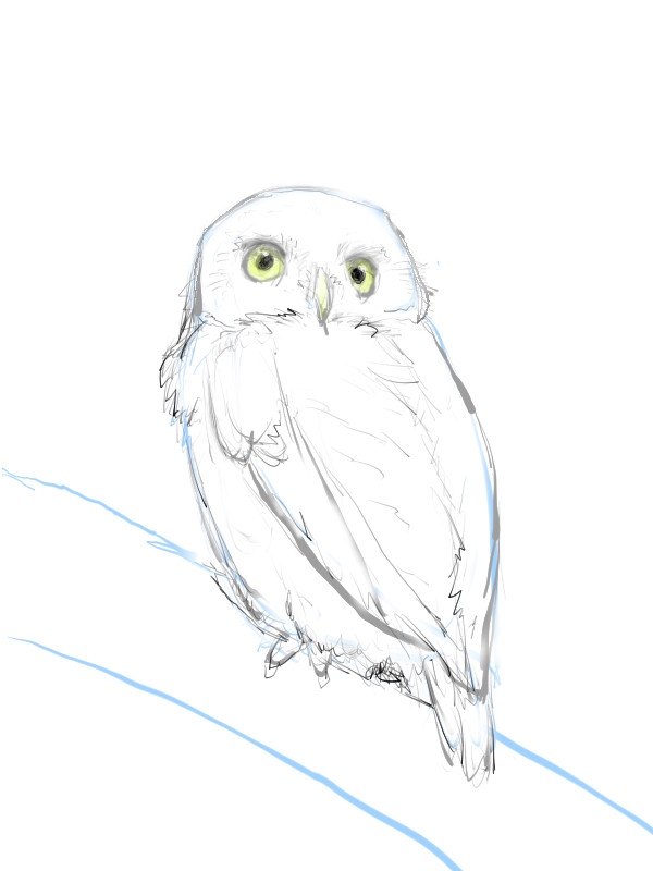 テンション上げ用　フクロウ模写
