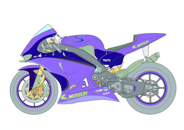 bike color purple
