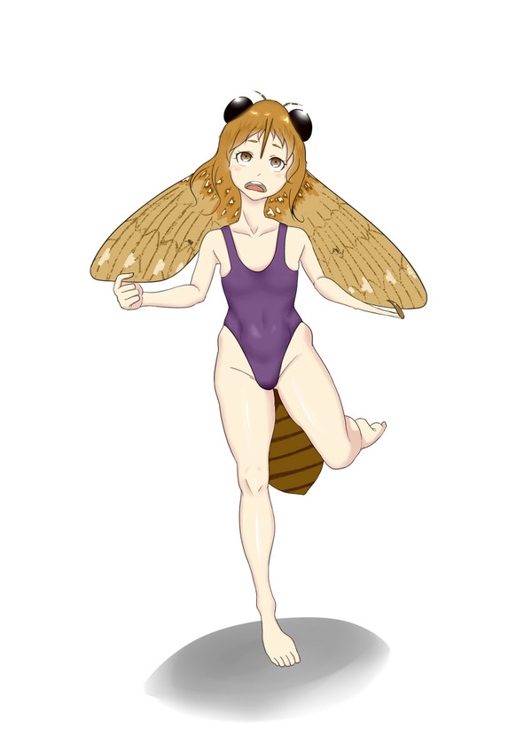 セミ娘