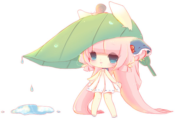 After the rain
