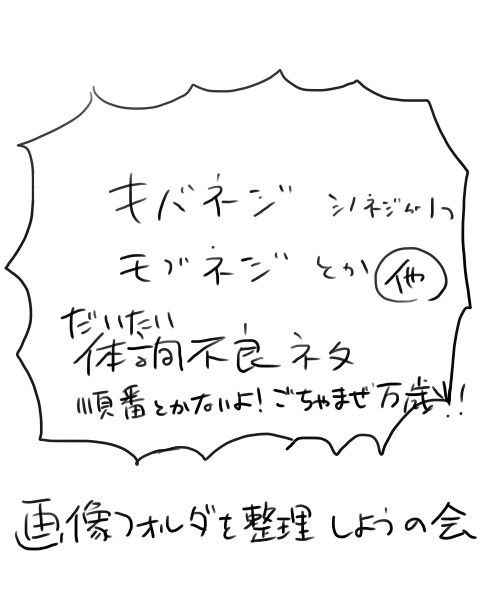 画像フォルダを整理しようの会 その2