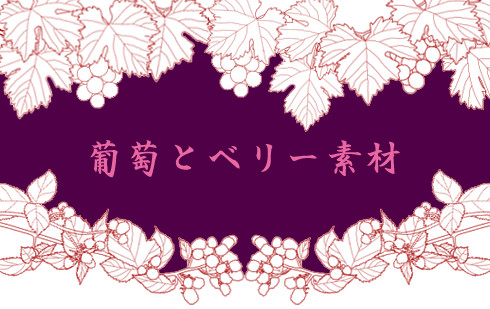 【素材５０】葡萄とベリー素材
