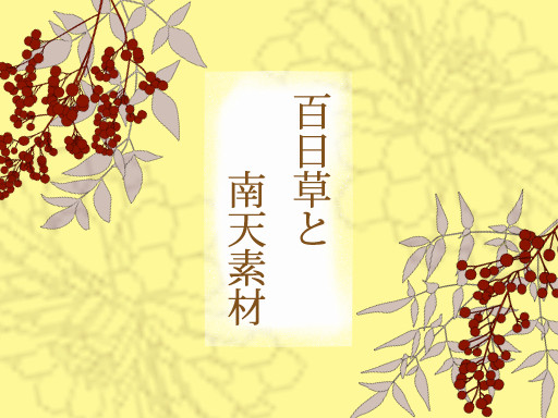 【素材４９】百日草と南天素材