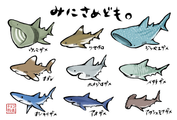 どれにしようかな