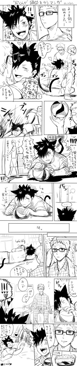 蛍君が猫を飼うマンガ