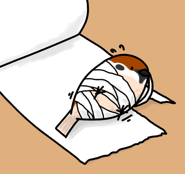 ミイラ