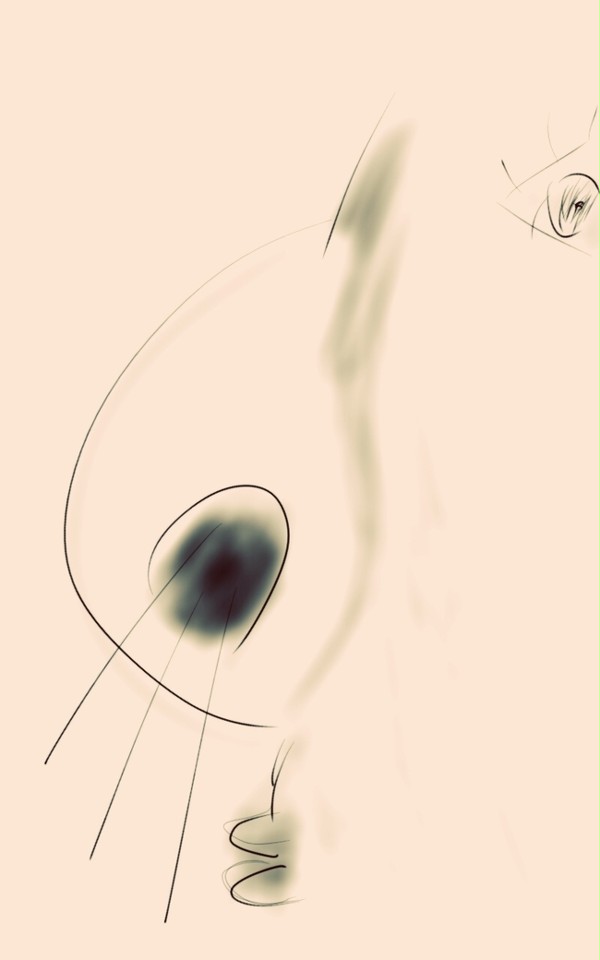 鼻