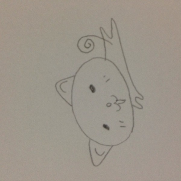 ヌコ
