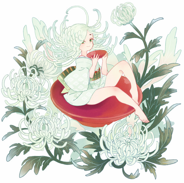 菊