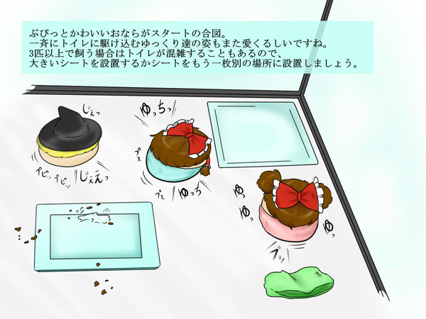 あかゆかんさつ その29~その31