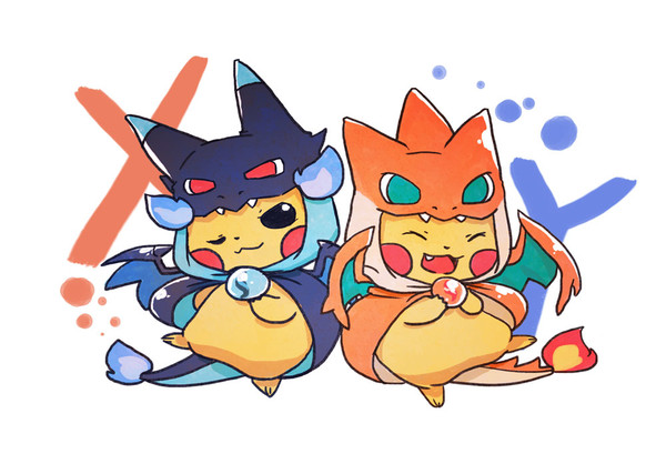 メガリザードンポンチョ