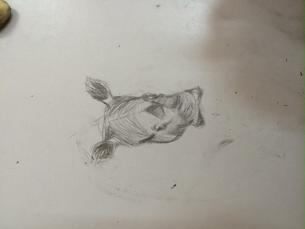 Rhino