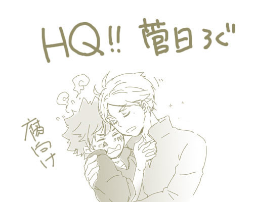 【腐向け】ツイッターのＨＱろぐ【菅日】