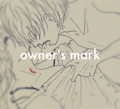 owner's mark
