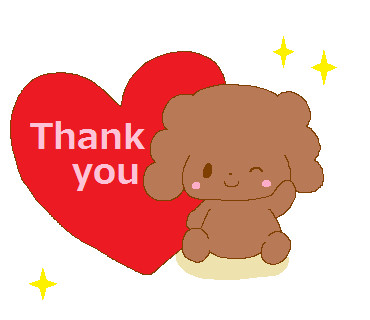 トイプードル、Thank you