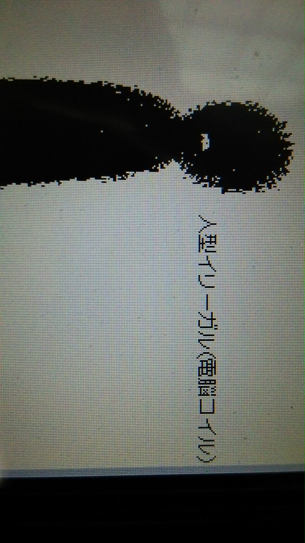人型イリーガル(雑)