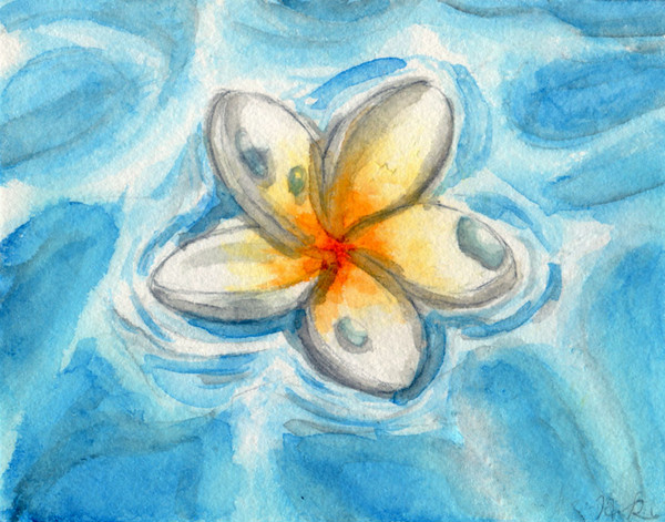 Plumeria