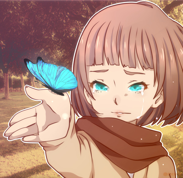 butterfly
