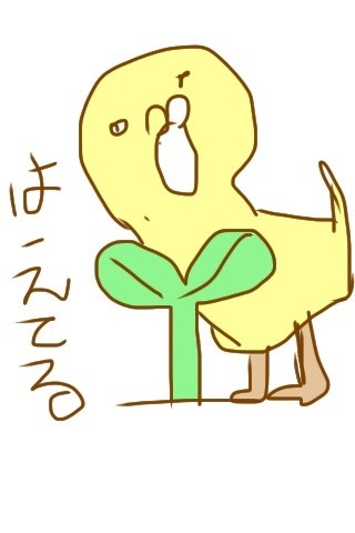 楽しい予感