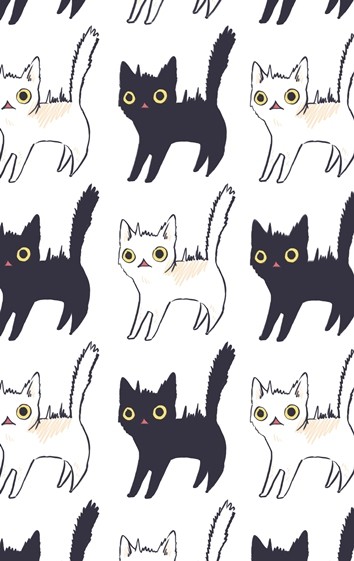 びっくりした!猫ちゃん