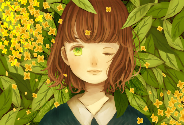 キンモクセイ
