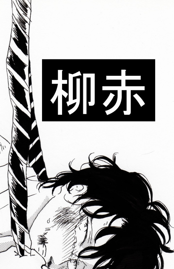 柳赤2