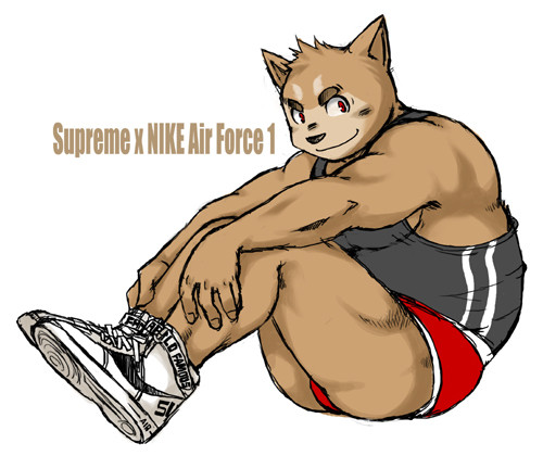 Supreme x NIKE Air Force 1