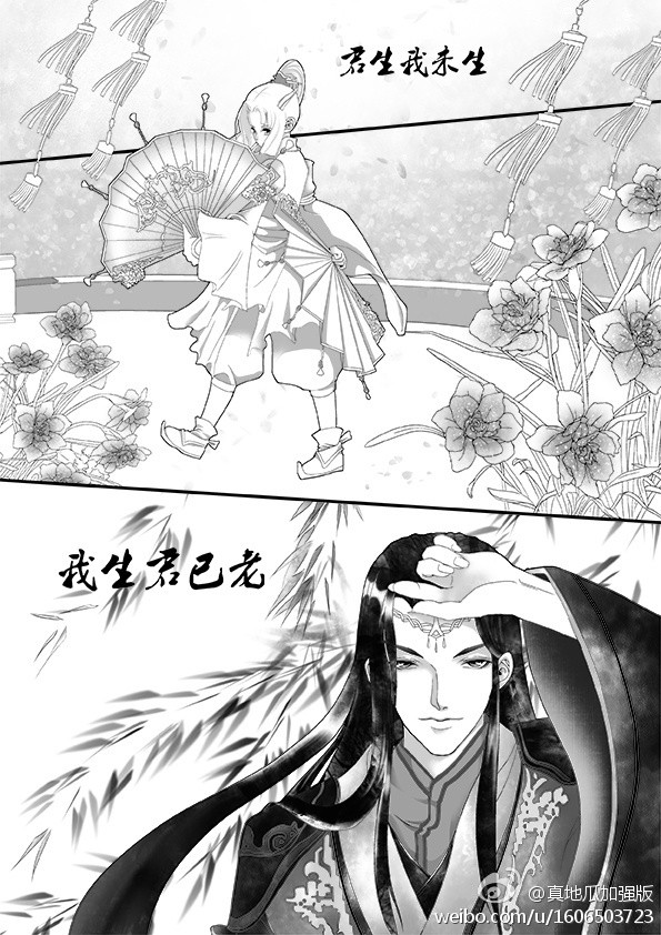 一群二货的幸福生活