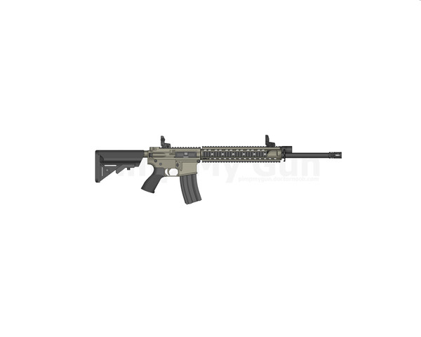 【　pimp my gun 】 AR-15
