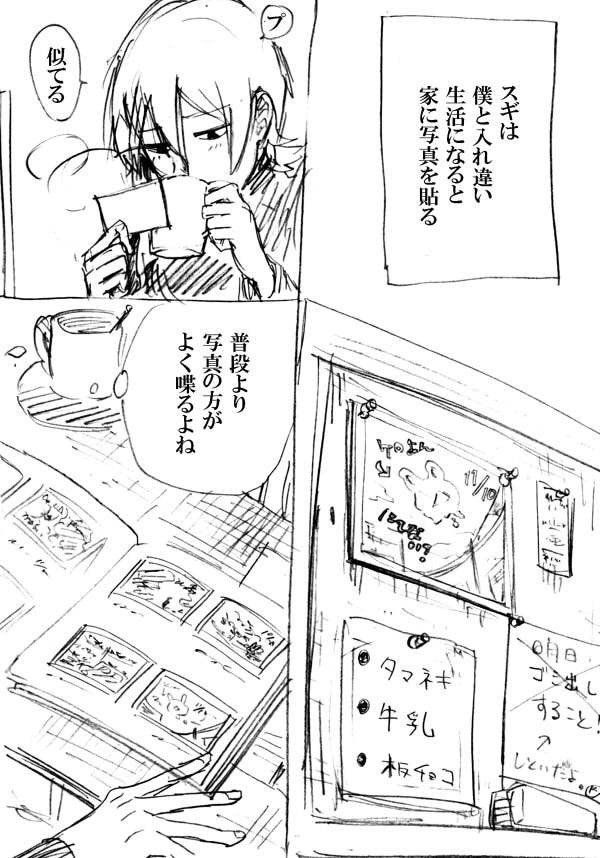 カメラ・トーク