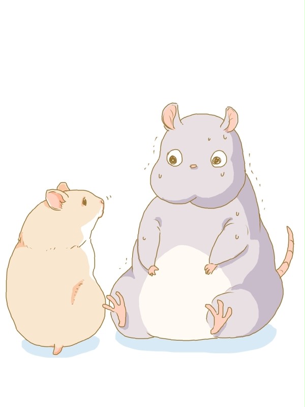 坊とはむすたー