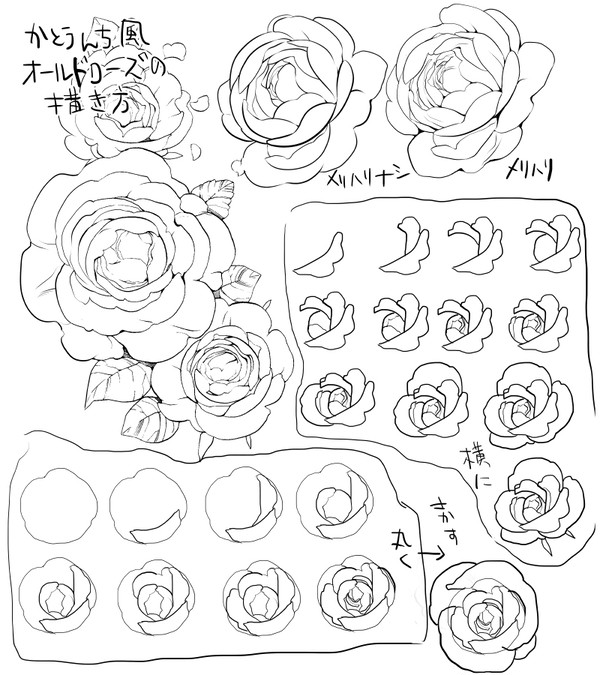 薔薇の描き方