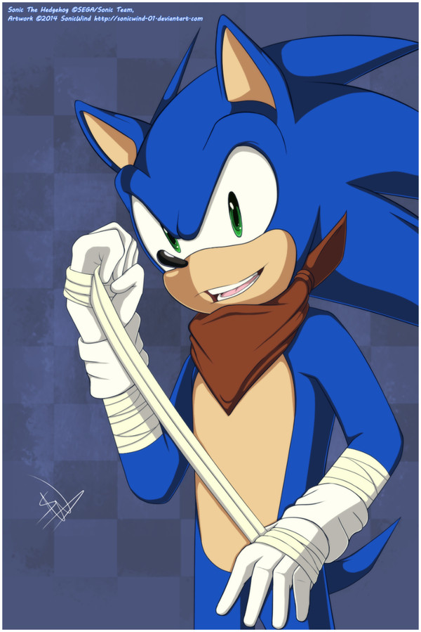 Sonic Boom
