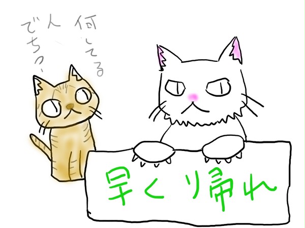 飼い猫ーズ