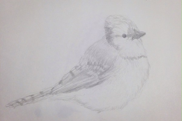 落書き