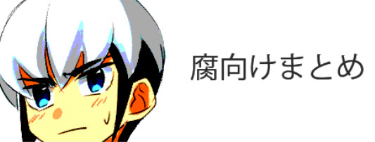 腐向けエグゼまとめ