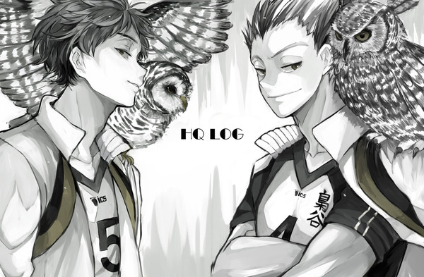 HQlog