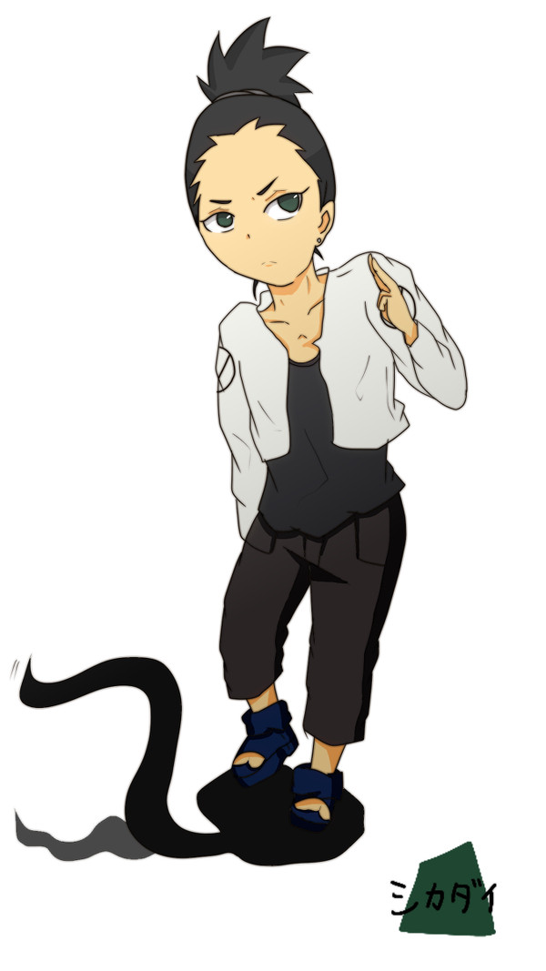 シカダイ