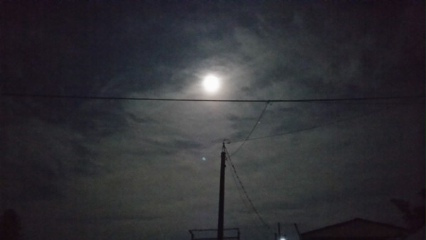 夜に浮かんだお月さま