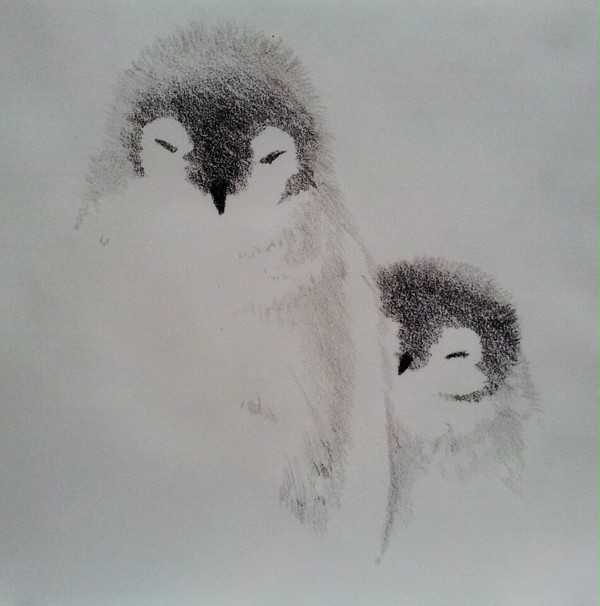 ペンギン